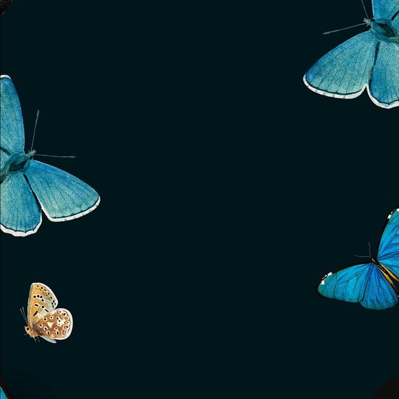 Meet your Posher, Destiny - Picture 1 of 1